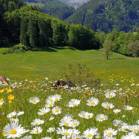 Apartment Wohnung Mit 2 Schlafzimmern “Uerbach” By Interhome *