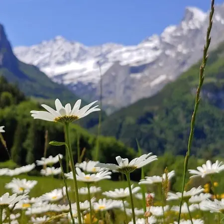 شقة Apartment Wohnung Mit 2 Schlafzimmern “Uerbach” By Interhome انترتكيرشن