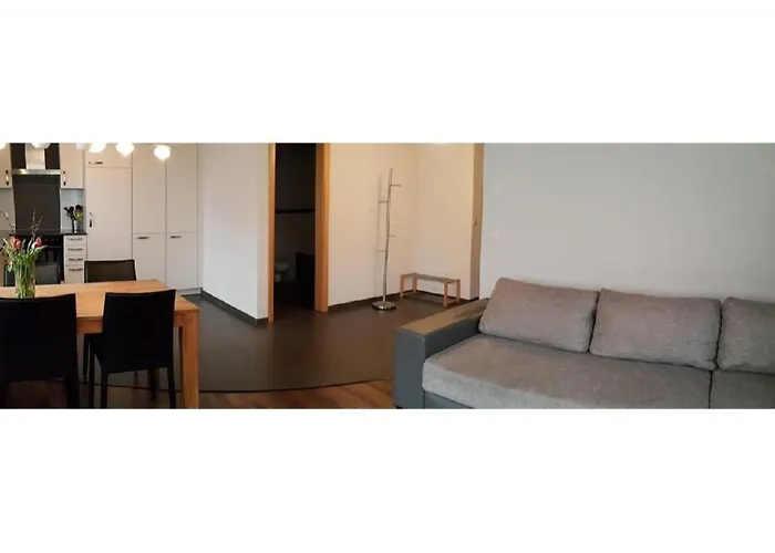 Apartment Wohnung Mit 2 Schlafzimmern “Uerbach” By Interhome 茵诺科琴