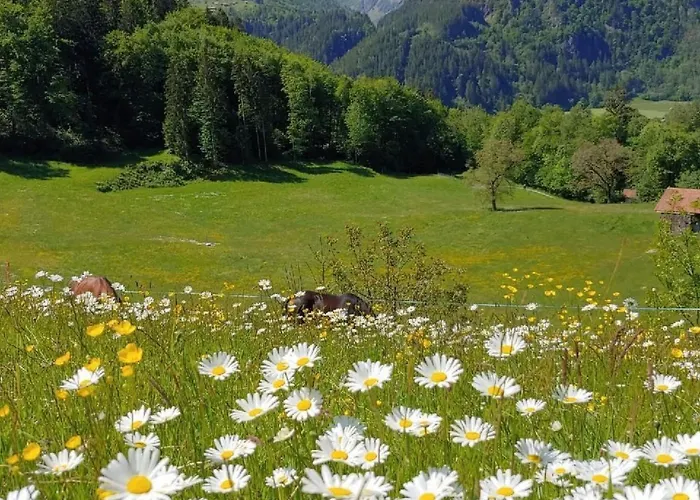 Apartment Wohnung Mit 2 Schlafzimmern “Uerbach” By Interhome *