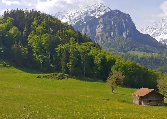 Apartment Wohnung Mit 2 Schlafzimmern “Uerbach” By Interhome * 茵诺科琴