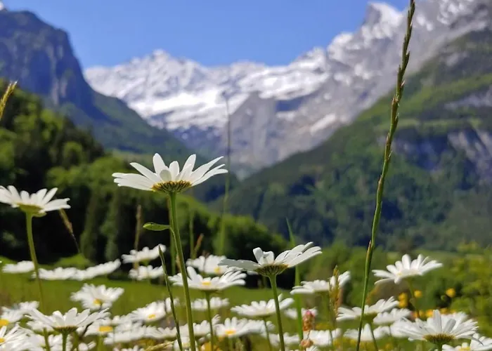 公寓 Apartment Wohnung Mit 2 Schlafzimmern “Uerbach” By Interhome 茵诺科琴