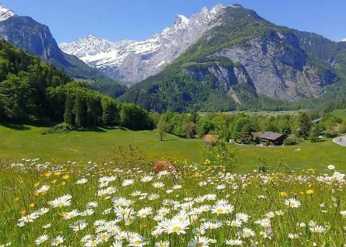 Apartment Wohnung Mit 2 Schlafzimmern “Uerbach” By Interhome * 茵诺科琴